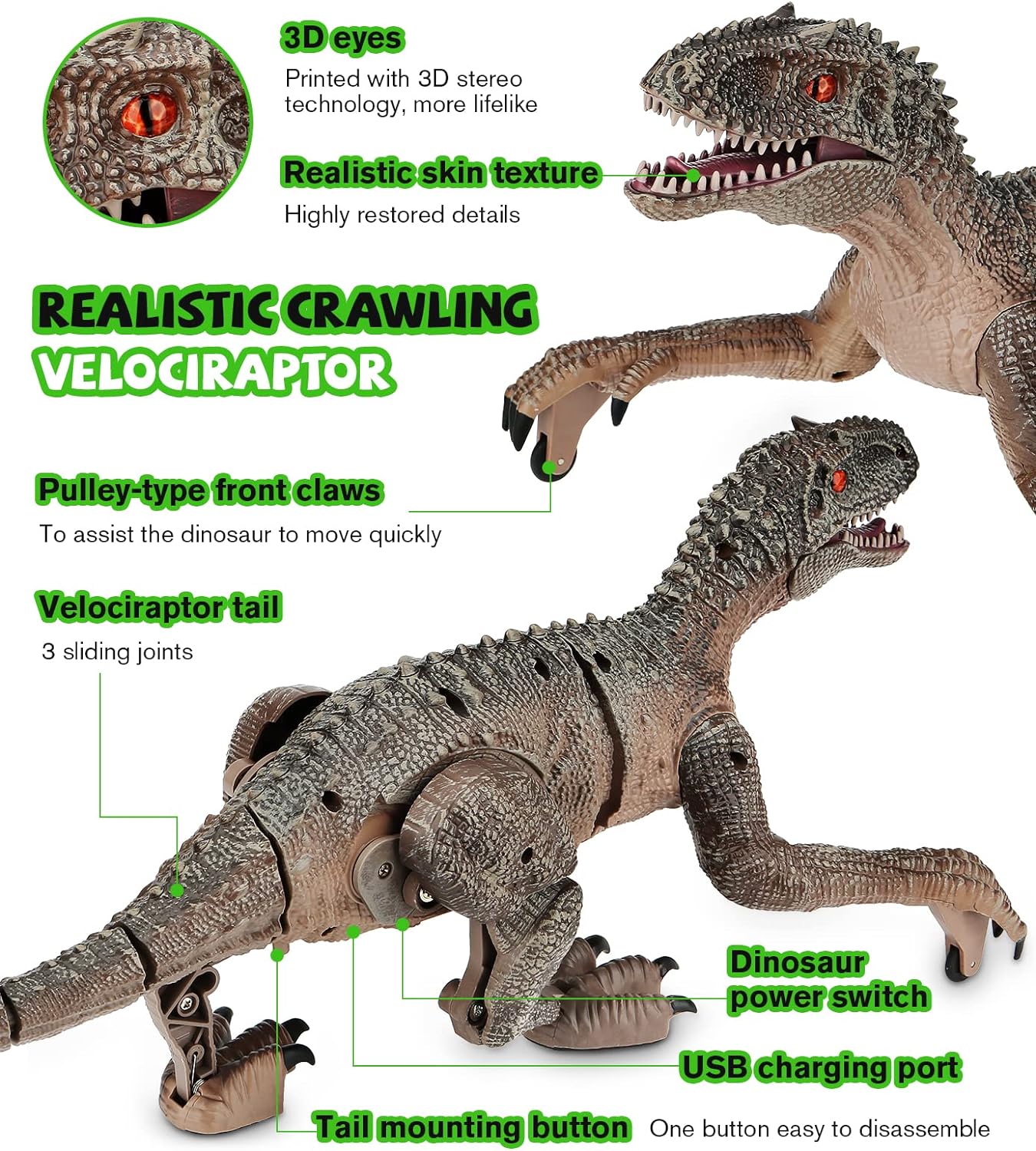 RC Velociraptor